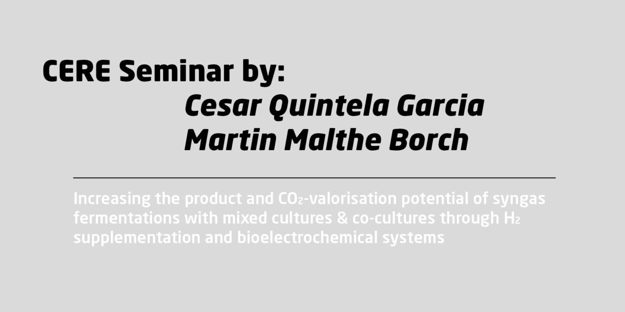 “Increasing the product and CO2-valorisation potential of syngas fermentations with mixed cultures & co-cultures through H2 supplementation and bioelectrochemical systems” by Cesar Quintela Garcia and Martin Malthe Borch