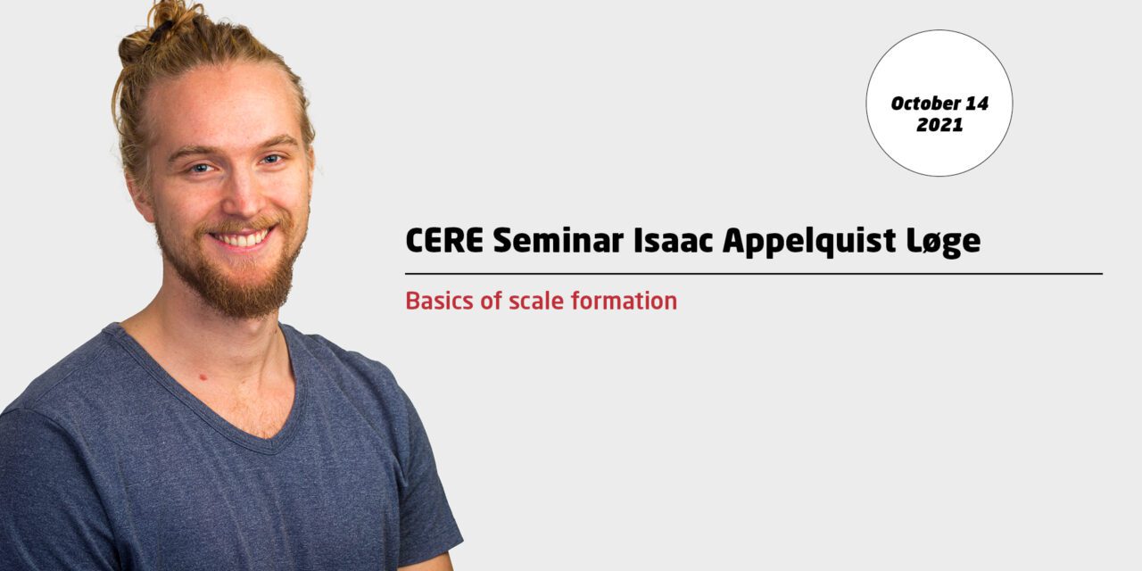 Basics of scale formation