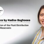“Characterization of the Fluid Distribution in Petroleum Reservoirs”