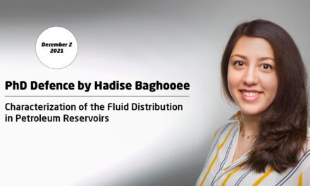 “Characterization of the Fluid Distribution in Petroleum Reservoirs”