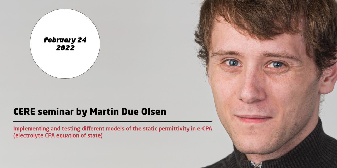 Implementing and testing different models of the static permittivity in e-CPA(electrolyte CPA equation of state)