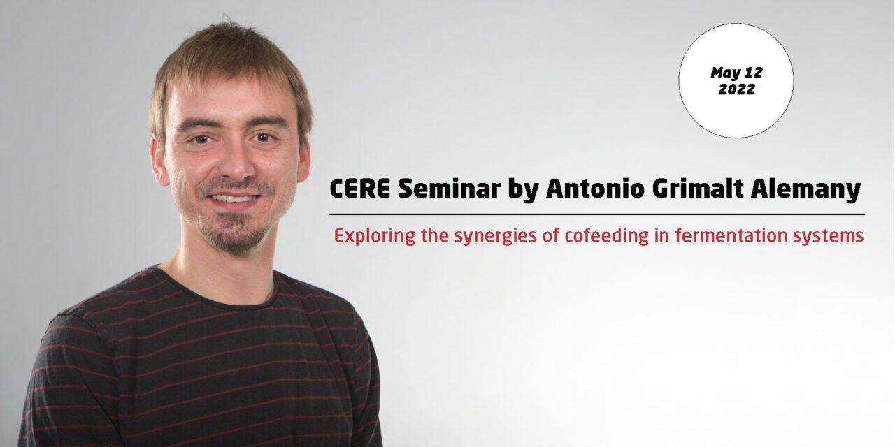 Exploring the synergies of cofeeding in fermentation systems
