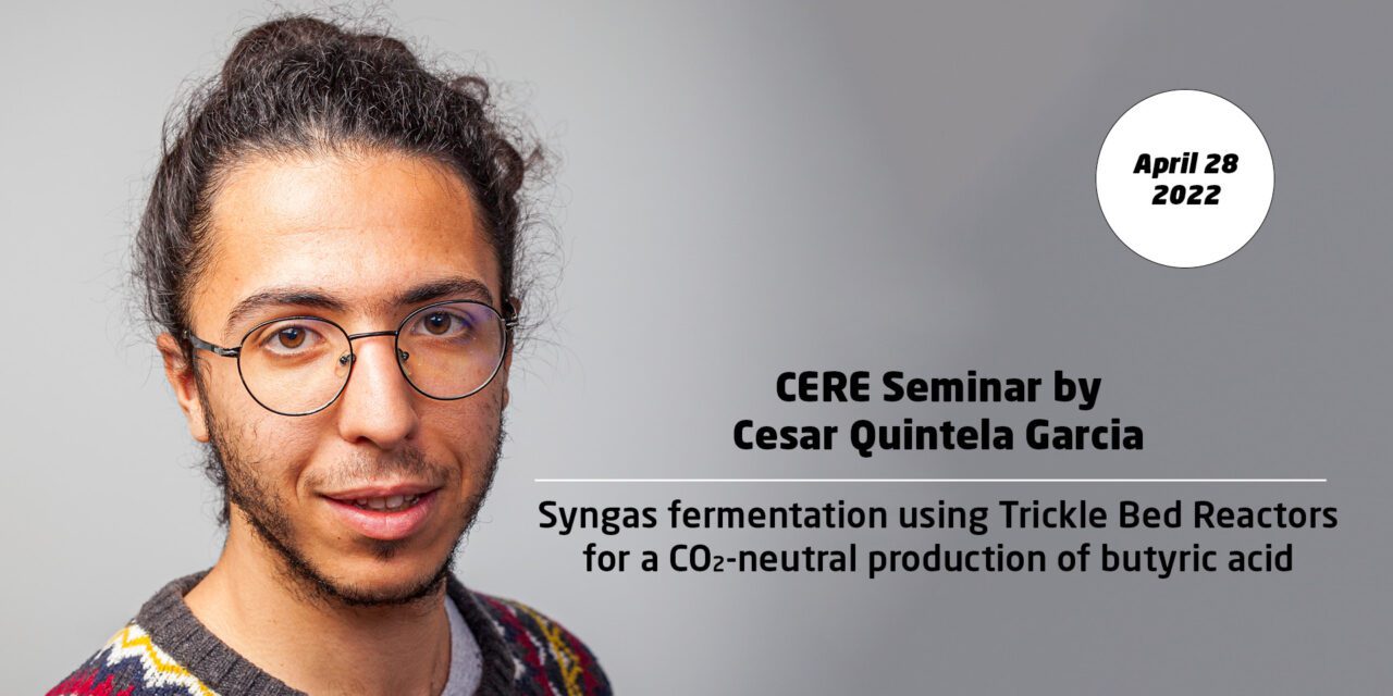 Syngas fermentation using Trickle Bed Reactors for a CO2-neutral production of butyric acid