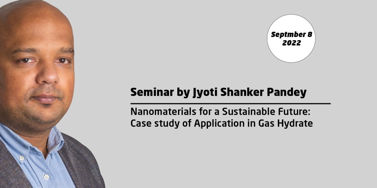 Nanomaterials for a Sustainable Future: Case study of Application in Gas Hydrate Science
