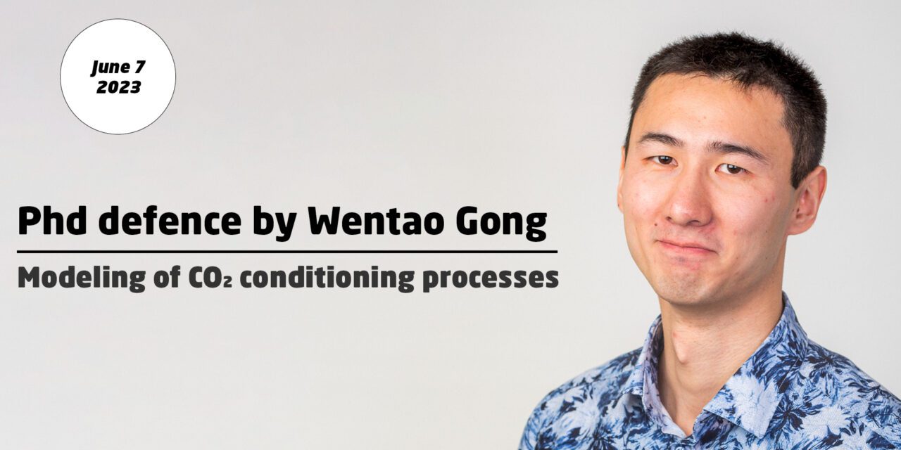 Modeling of CO2 conditioning processes