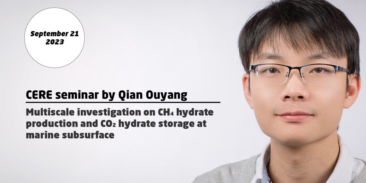 Multiscale investigation on CH4 hydrate production and CO2 hydrate storage at marine subsurface